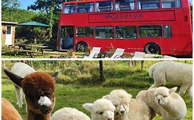 Double Decker Bus On An Alpaca Farm Sleeps 8